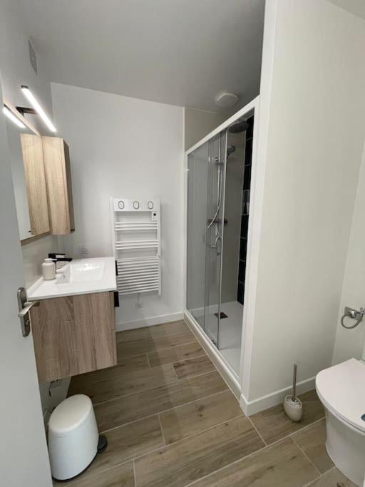 Appartement Proche Stade/Eurexpo Десін-Шарп'є Екстер'єр фото